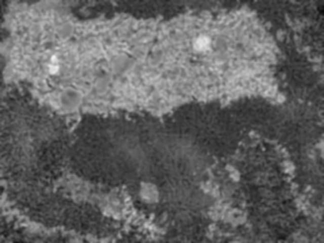 Synthetic Landmine Dataset (Experimental)